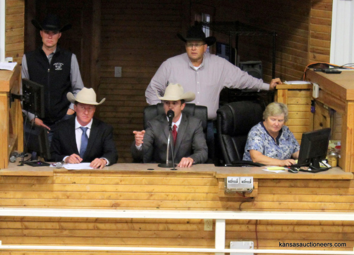 Ethan Schuette competing in the 2017 Kansas Livestock Auctioneer contest