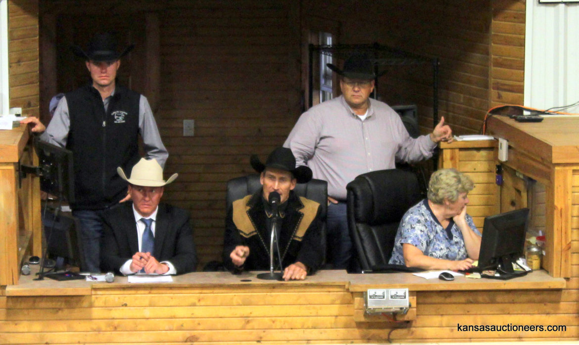 Carey Macy competing in the 2017 Kansas Livestock Auctioneer contest Carey Macy competing in the 2017 Kansas Livestock Auctioneer contest
