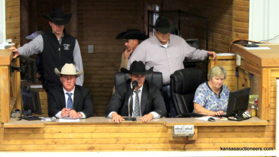 Jase Hubert competing in the 2017 Kansas Livestock Auctioneer contest Jase Hubert competing in the 2017 Kansas Livestock Auctioneer contest
