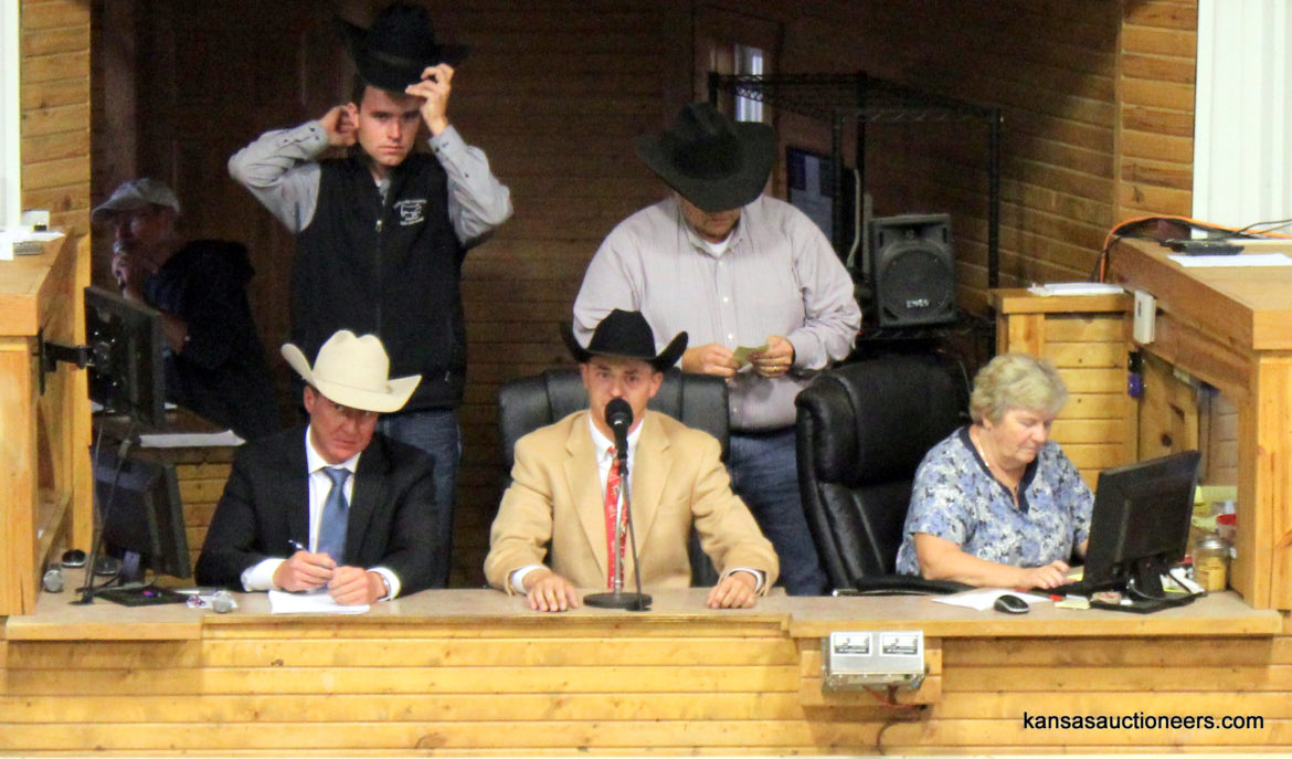 Wyatt Schumann competing in the 2017 Kansas Livestock Auctioneer contest Wyatt Schumann competing in the 2017 Kansas Livestock Auctioneer contest